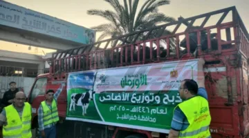 الأورمان: انطلاق موسم ذبح الأضاحي في كفر الشيخ