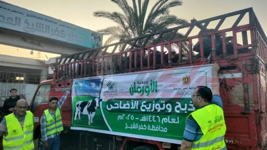 الأورمان: انطلاق موسم ذبح الأضاحي في كفر الشيخ الأورمان: انطلاق موسم ذبح الأضاحي في كفر الشيخ