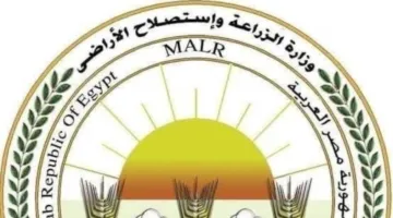 “الزراعة”: المجازر الحكومية تستقبل أكثر من 9800 رأس من الأضاحي في أول أيام العيد