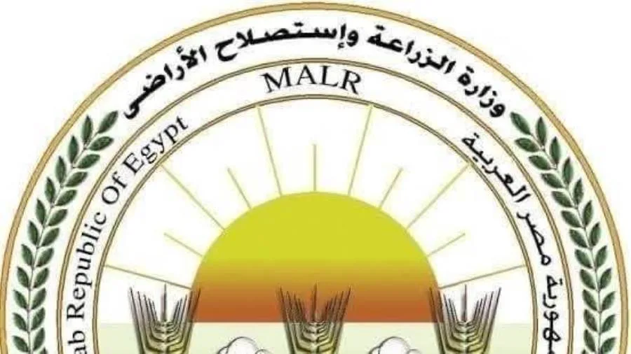 “الزراعة”: المجازر الحكومية تستقبل أكثر من 9800 رأس من الأضاحي في أول أيام العيد “الزراعة”: المجازر الحكومية تستقبل أكثر من 9800 رأس من الأضاحي في أول أيام العيد
