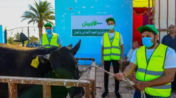 تضامن الغربية: انطلاق ذبح الأضاحي بعد صلاة العيد لدعم الأسر المحتاجة.. صور