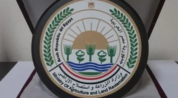 “الزراعة” تنظم ورشة تدريبية عن الفرص الاقتصادية لتحقيق الاعتماد الذاتي في إنتاج الزيوت