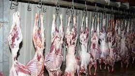 نائبة تطالب بتعزيز المراقبة على المسالخ وذبح المواشي خلال عيد الأضحى