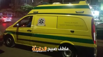 أسماء السبعة مصابين في حادث تصادم بين سيارة وميكروباص في الغردقة