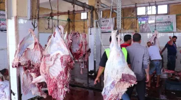 ازدحام ملحوظ في المجازر الحكومية بكفر الشيخ خلال اليوم الأول للعيد.. صور