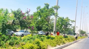 احتفل بعيدك بحرية، لكن احذر: هذه التصرفات في الحدائق والمتنزهات قد تؤدي إلى الحبس والغرامة.