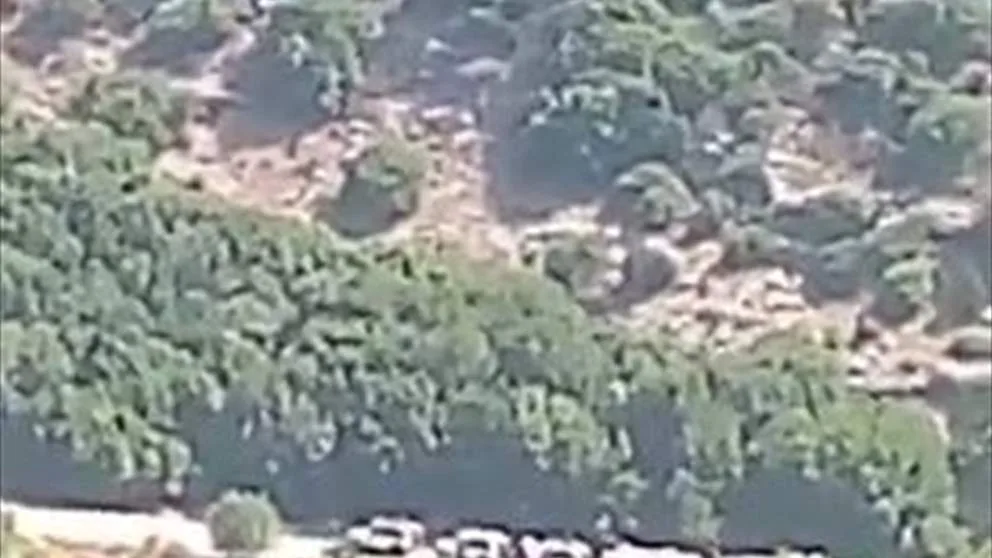 دورية موسعة لليونيفيل في وادي السلوقي (فيديو) دورية موسعة لليونيفيل في وادي السلوقي (فيديو)