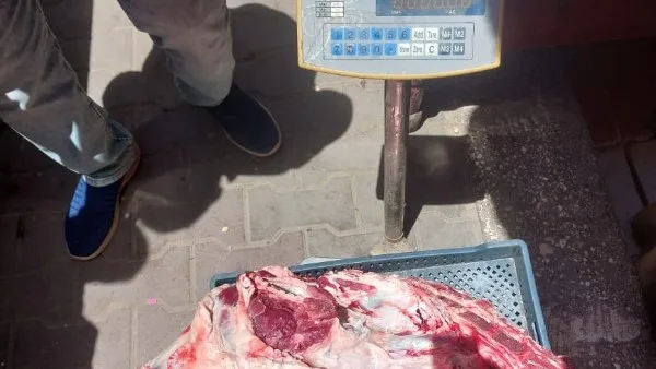 محافظ أسيوط يكشف عن ضبط لحوم مذبوحة خارج المسالخ الرسمية محافظ أسيوط يكشف عن ضبط لحوم مذبوحة خارج المسالخ الرسمية