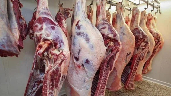 أسعار اللحوم المحلية والمستوردة تحافظ على استقرارها في الأسواق اليوم، السبت 7 يونيو 2025 أسعار اللحوم المحلية والمستوردة تحافظ على استقرارها في الأسواق اليوم، السبت 7 يونيو 2025