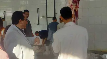 لليوم الثاني.. 39 مركز ذبح تستقبل الأضاحي في محافظة المنيا