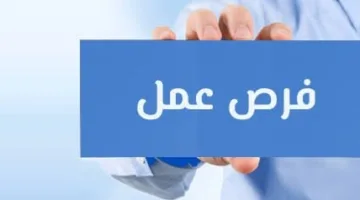 فرص عمل متاحة في 14 محافظة: ما هي التخصصات المطلوبة لفرص وزارة العمل؟