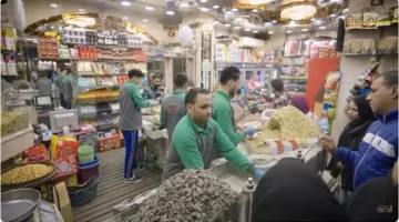 من قلب مصر: أسرار إنتاج المكسرات في الفيوم (فيديو)