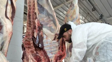 محافظ أسوان: يراقب توفر المنتجات الأساسية في الأسواق وينفذ قرار حظر ذبح الأضاحي في الشوارع