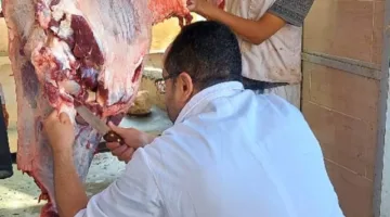 ذبح 2202 أضحية للمواطنين في مجازر الجيزة خلال اليومين الأولين من عيد الأضحى