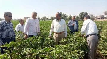 في اليوم الثاني للعيد.. “الزراعة” تراقب الأنشطة الزراعية وأعمال الجمعيات في الفيوم وبني سويف