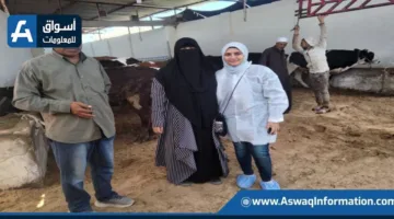 وزارة الزراعة تفقد محلات الأضاحي وأسواق اللحوم للتأكد من جودتها