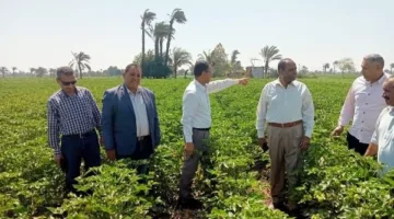الزراعة تنظم 6400 ورشة توجيهية بيطرية في شهر مايو