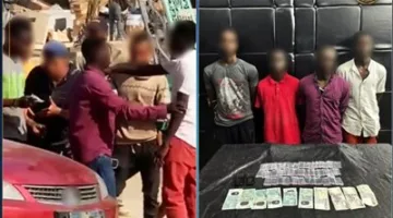 الداخلية تعتقل 4 أجانب متورطين في تجارة مخدر “الآيس” في مدينة نصر