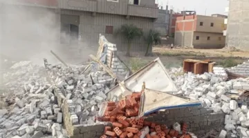 “حافظ على أراضينا” .. زراعة الإسماعيلية تواصل جهود إزالة الانتهاكات ومراقبة المحاصيل