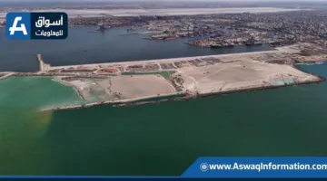 مجلس الوزراء يستعرض المشاريع الحالية لتحديث ميناء العين السخنة | إنفوجرافيك