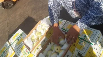 “وزارة الزراعة” تؤكد على استمرار حركة الصادرات والواردات الزراعية خلال عطلة العيد.