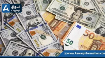 ضبط جرائم تهريب العملات الأجنبية بقيمة 4 ملايين جنيه