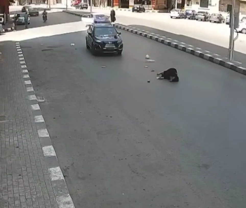 بالصور: وفاة سيدة جراء حادث اصطدام بسيارة طالب في الغربية بالصور: وفاة سيدة جراء حادث اصطدام بسيارة طالب في الغربية