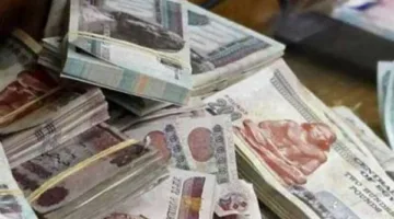 بعد تخفيض الفائدة.. اكتشف أفضل شهادات الادخار في بنك الأهلي وبنك مصر