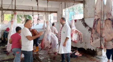 المنيا تواصل تقديم خدمات ذبح الأضاحي بدون تكلفة في 39 مجزرة خلال اليوم الثاني للعيد