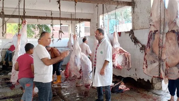 المنيا تواصل تقديم خدمات ذبح الأضاحي بدون تكلفة في 39 مجزرة خلال اليوم الثاني للعيد