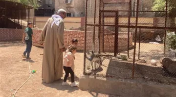 الفيوم تشهد احتفالاً بميلاد “نسناس” جديد في حديقة الحيوان خلال اليوم الثاني من العيد (فيديو)