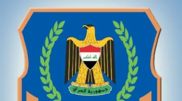 الجمارك توضح موقف سيارات الهايبرد من الرسوم الجديدة