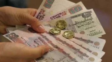 ارتفاع الرواتب قريباً: 1100 جنيه للحد الأدنى من الدرجات الوظيفية وامتيازات جديدة للعاملين في القطاع العام.