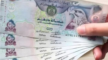 سعر صرف الدرهم الإماراتي مقابل الجنيه اليوم السبت 7 يونيو 2025