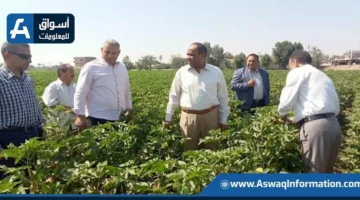 وزارة الزراعة تراقب إمدادات الأسمدة واحتياجات الإنتاج في الفيوم وبني سويف