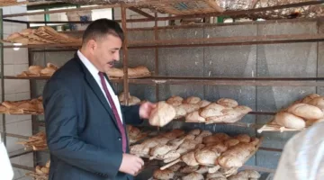 ضبط 193 محضر تمويني تشمل لحوم مذبوحة خارج المجازر ومجهولة المصدر في المنوفية