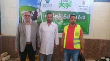 البيطرة في أسوان: ذبح 808 رؤوس من الماشية والأغنام في المجازر الآلية المعتمدة