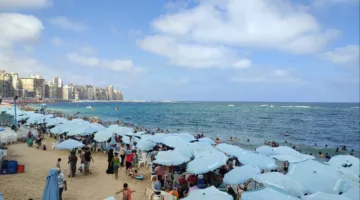 مصايف الإسكندرية: برامج تدريبية متطورة لفرق الإنقاذ الساحلي تحضيرًا لموسم الصيف