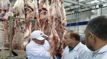 البيطرة في الشرقية: ذبح 1129 أضحية بلا تكلفة