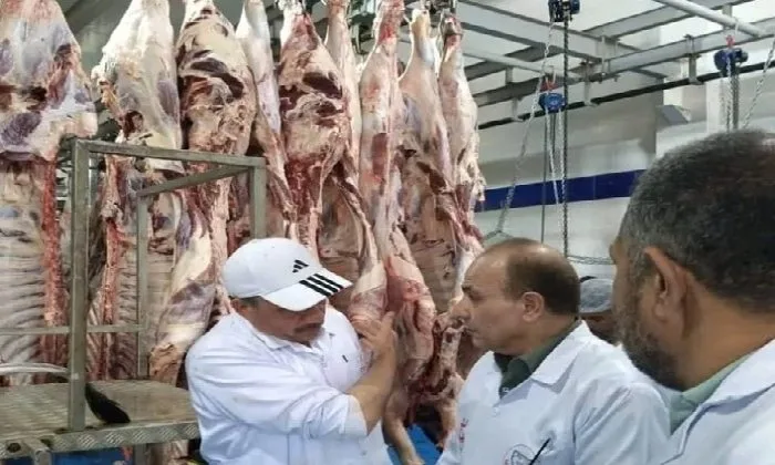 البيطرة في الشرقية: ذبح 1129 أضحية بلا تكلفة البيطرة في الشرقية: ذبح 1129 أضحية بلا تكلفة