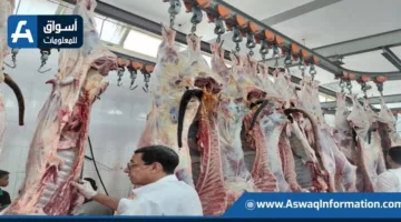 ذُبِحَت أكثر من 20 ألف أضحية في المجازر الحكومية بدون تكلفة خلال اليومين الأولين من العيد.