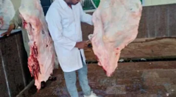 «الزراعة»: أكثر من 20 ألف خروف ونعجة تم ذبحها في المجازر الحكومية خلال اليومين الأولين من عيد الأضحى