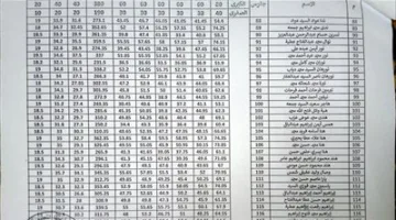 اكتشف نتائجك: إعلان درجات سنوات النقل من الصف الأول الابتدائي إلى الثاني الثانوي في نهاية العام الدراسي.