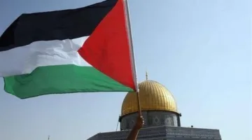 خبير سياسي: مصر تحملت تكاليف باهظة وأرواحاً في دعم القضية الفلسطينية
