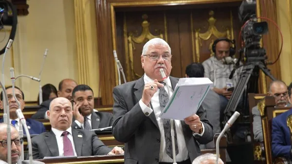 نائب برلماني: دعم الصناعات يعد هدفًا استراتيجيًا للحكومة في المرحلة المقبلة
