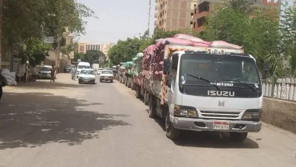 محافظ المنيا: تسليم 502 ألف طن من القمح محافظ المنيا: تسليم 502 ألف طن من القمح
