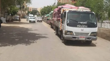 محافظ المنيا: استئناف عمليات توريد القمح مع وصول 502 ألف طن
