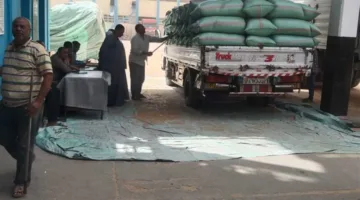 محافظ المنيا: استئناف عمليات توريد القمح مع وصول 502 ألف طن من المحصول الاستراتيجي