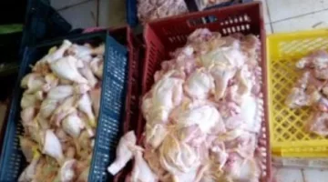 موقف مدير مطعم الأغا من حكم حبسه لمدة عام… التفاصيل الكاملة