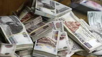 وزير المالية يكشف عن مواعيد صرف الرواتب لشهر يونيو للموظفين الحكوميين.. تفاصيل إضافية